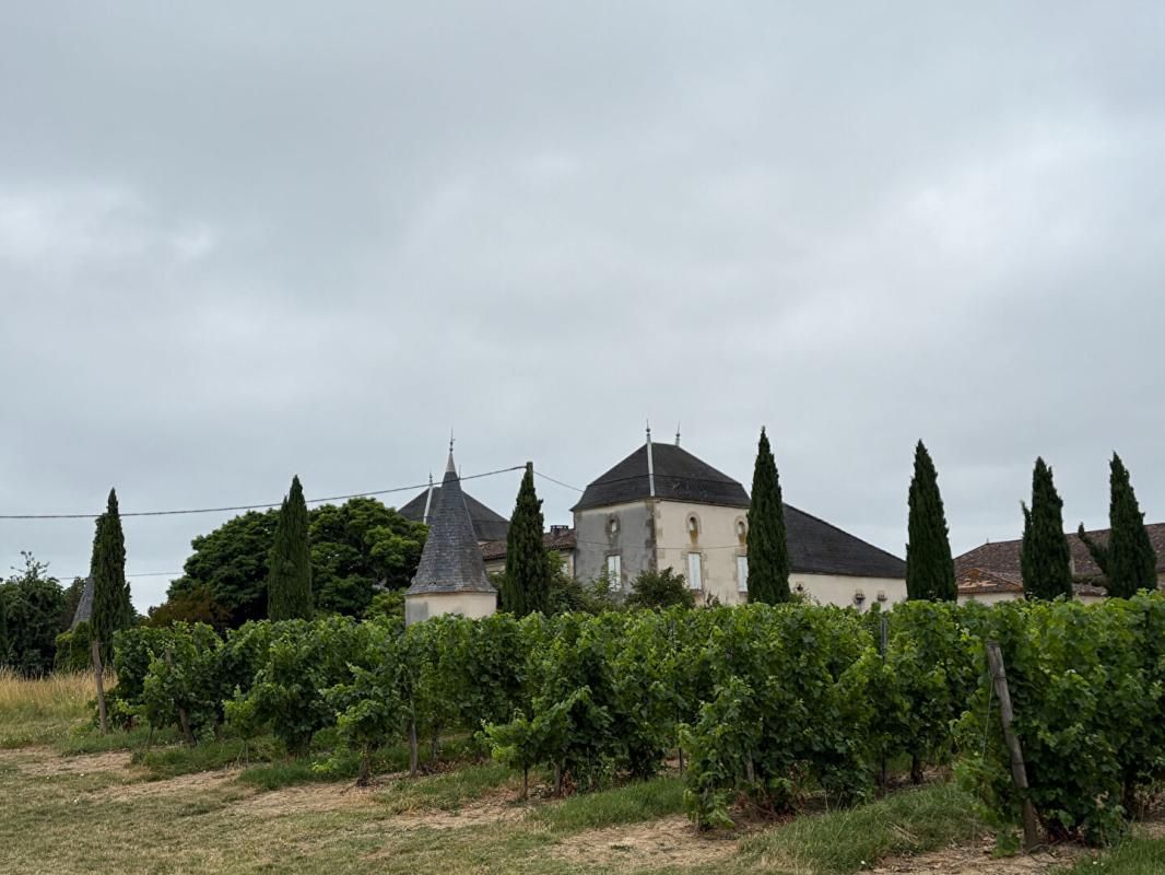 MASSUGAS Château confidentiel à Massugas, dominant les côteaux, entre Pellegrue et Sauveterre de Guyenne 1