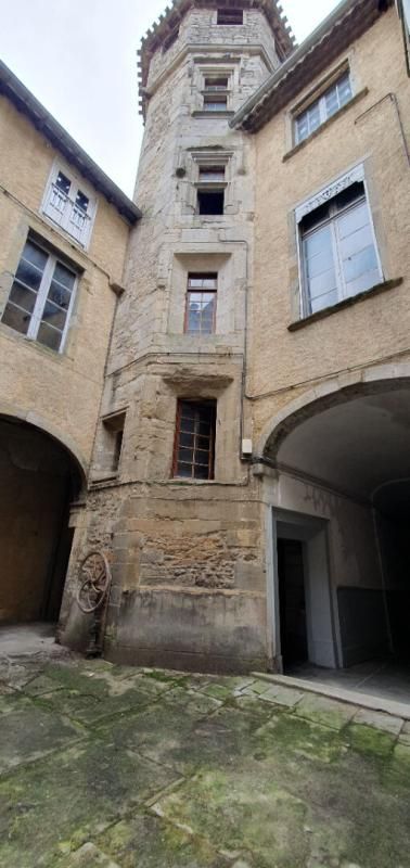 CARCASSONNE EXCLUSIVITE ! Investissez dans l'histoire ! Un hôtel particulier avec tour classée du XVe siècle, 7 appartements, un local commercial loué et une cour intérieure pleine de charme. Un bien unique à Carcassonne 3