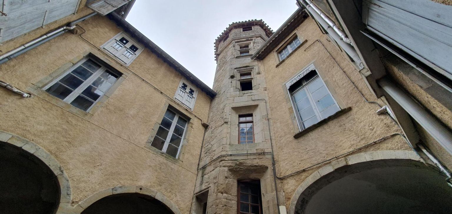 CARCASSONNE EXCLUSIVITE ! Investissez dans l'histoire ! Un hôtel particulier avec tour classée du XVe siècle, 7 appartements, un local commercial loué et une cour intérieure pleine de charme. Un bien unique à Carcassonne 4