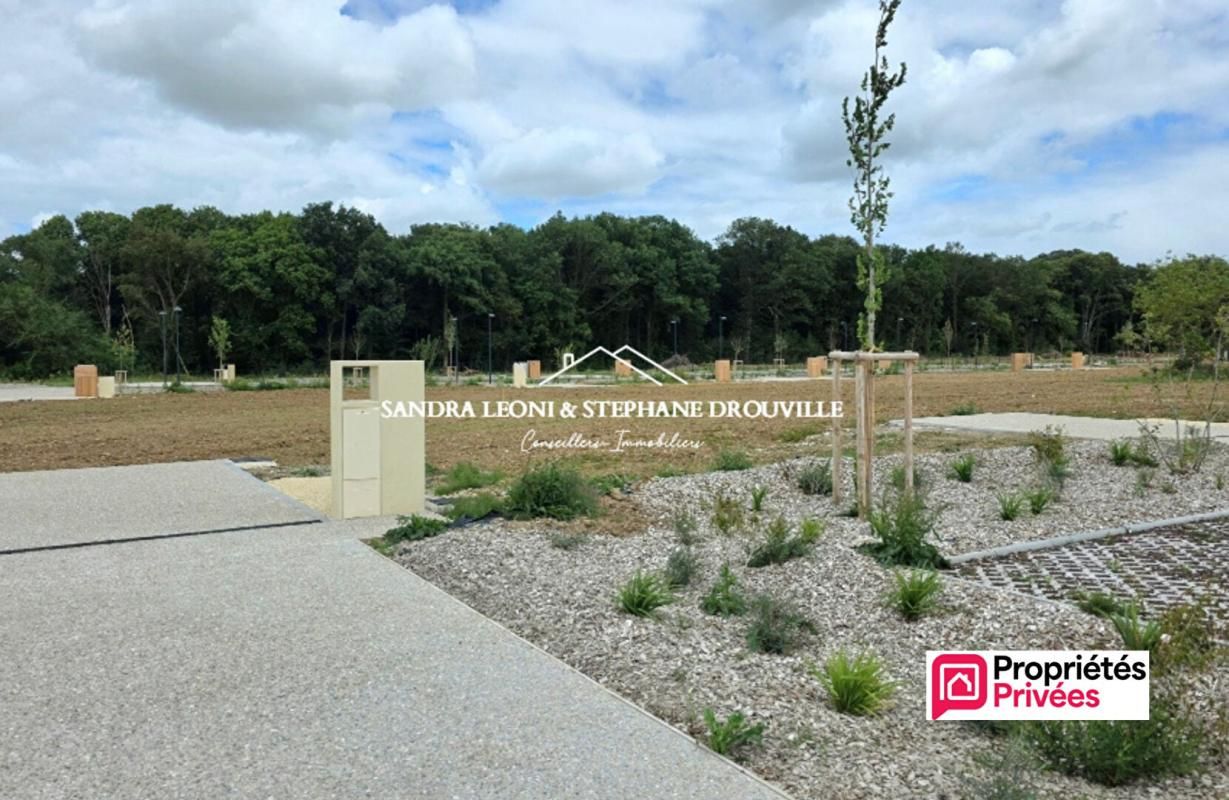 CHAMPHOL TERRAIN VIABILISE A BATIR DE 530 m²