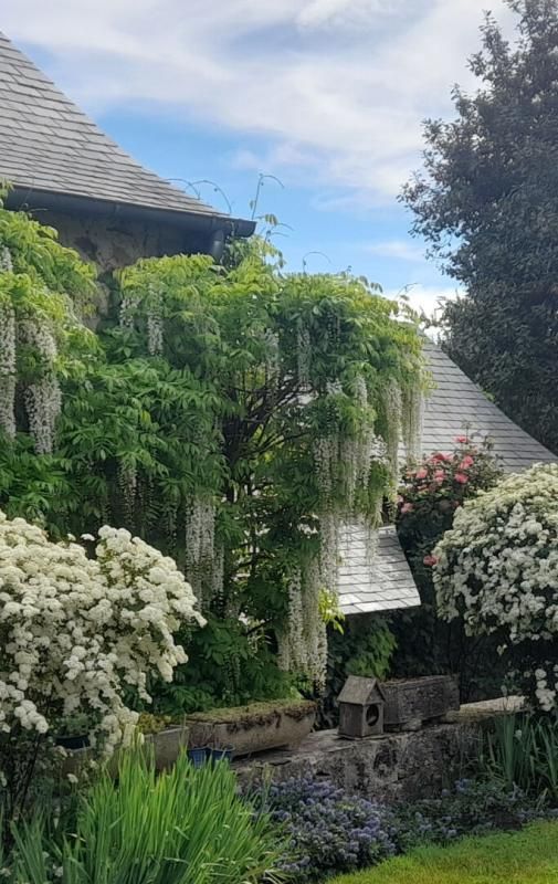 BOUERE Charme et authenticité pour cette maison  sur Bouère 3