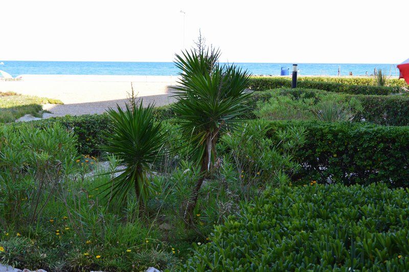 Vue MER T3 traversant avec terrasse et jardin