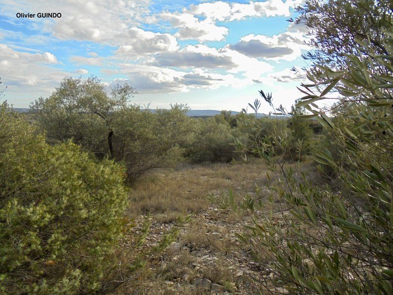 Terrain de loisirs et agricole de 3134m2