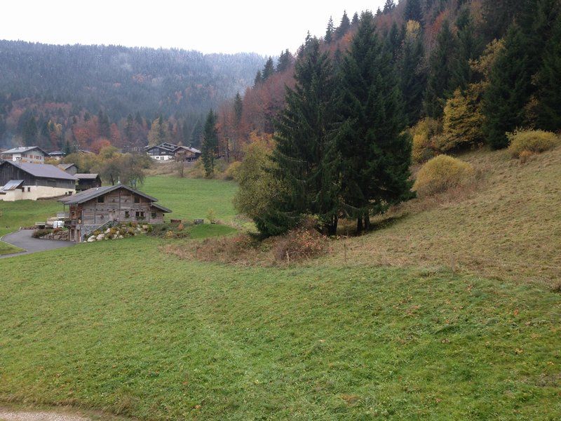 A 5mn de Morzine, dans maison, Rdc T3 en duplex