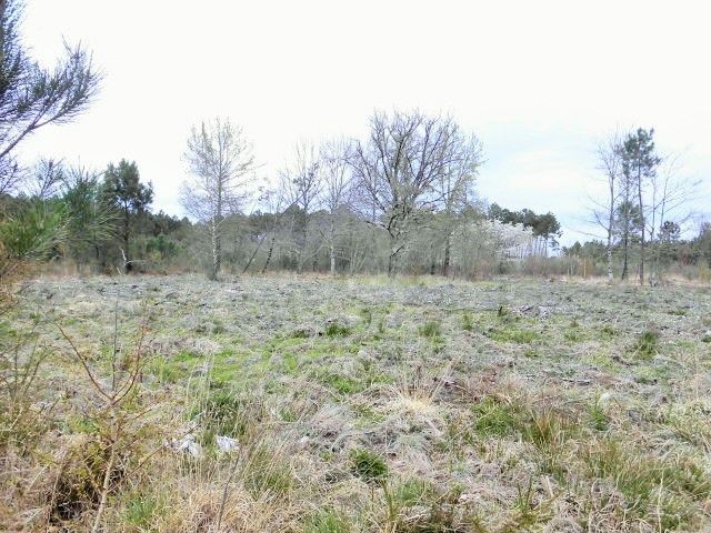 Terrain en zone N 3 hectares 2 ares environ 33114