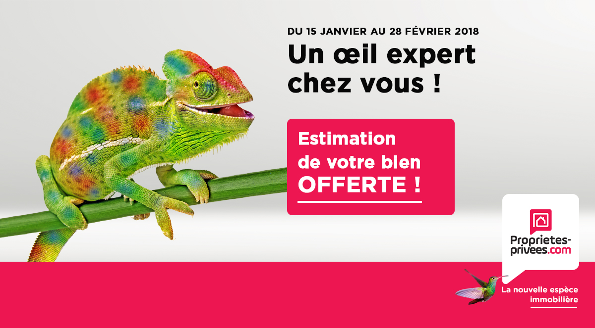 Un œil expert chez vous !